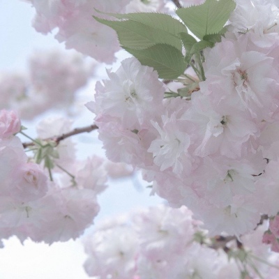 兽设草原场景绘制FurryQQ群